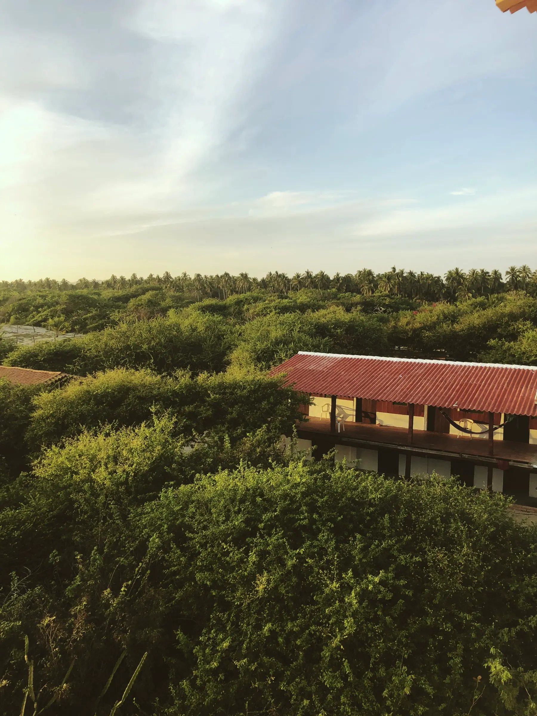 El ashram entre la selva y el mar